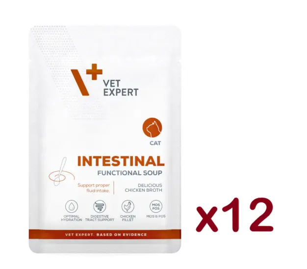 Vet Expert V+ Prescription Diet Intestinal Functional Soup Cat Food 40g x12