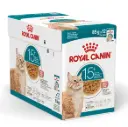 Royal Canin FHN AGEING 15+ Cat Pouch Cat Food 85g x12