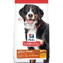 Hill's Science Diet Dog Adult 1-5 Large Breed 15kg