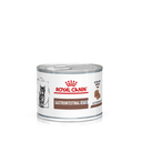 Royal Canin Kitten GASTROINTESTINAL 腸胃處方(慕絲) 幼貓濕糧 貓糧 195g*12