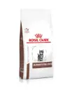 Royal Canin Kitten GASTROINTESTINAL 腸胃處方 幼貓乾糧 貓糧 2kg