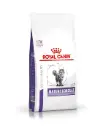 Royal Canin MATURE CONSULT 老貓均衡營養 保健糧 貓乾糧  3.5kg
