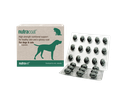 Nutravet Nutracoat Healthy Skin & Glossy Coat Supplement For Cats & Dogs 45Capsules