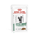 Royal Canin DIABETIC 糖尿病處方 貓濕糧 貓糧 85g*12
