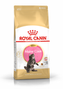 Royal Canin Kitten Maine Coon 10kg