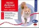Vetz Petz ANTINOL Rapid (Supoort & Management of Healthy Joint) Supplement For Cats 30 Capsules
