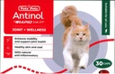 貓用 ANTINOL RAPID 30粒