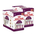 Royal Canin Cat Sensory Multi-Pack Gravy  ( Smell, Taste, Feel@4 packs) 85g X12