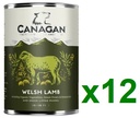 CANAGAN Welsh Lamb Recipe Dog Food 400G (12 Cans)