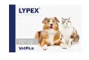 VetPlus - Lypex 多酶素膠囊 (貓犬適用) 60粒 (膠囊)