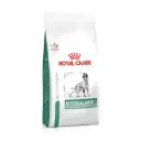 Royal Canin 皇家 Glycobalance 獸醫處方 糖尿病控糖 處方糧 狗糧 7kg