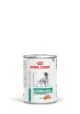 Royal Canin 皇家 Glycobalance 糖尿病控糖 處方糧 狗罐頭 410gx12 罐